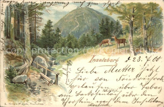 Inselsberg Schmalkalden Wild im Wald