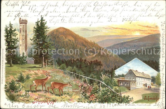 Schmuecke Hotel Schneekopfturm Wild