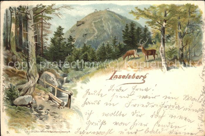 Inselsberg Schmalkalden Wild im Wald