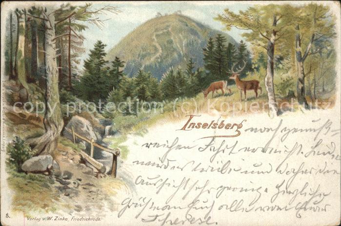 Inselsberg Schmalkalden Wild im Wald