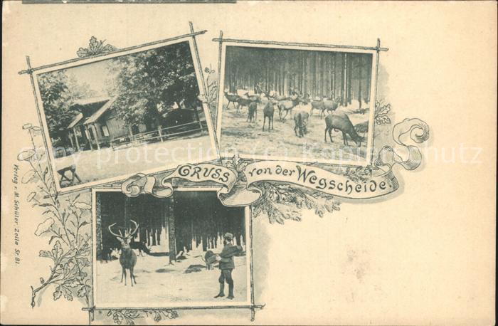 Oberhof Thueringen Wild