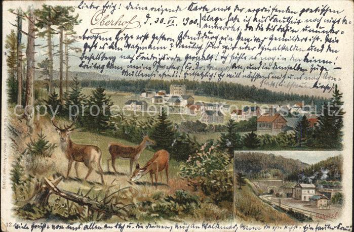 Oberhof Thueringen Panorama mit Wild