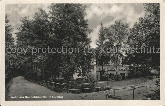 Eisenberg Thueringen Waldhaus Naupoldsmühle Mühltal