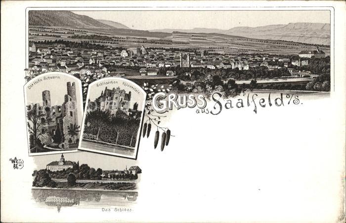 Saalfeld Saale Schlösschen Kitzerstein Hohe Schwarm