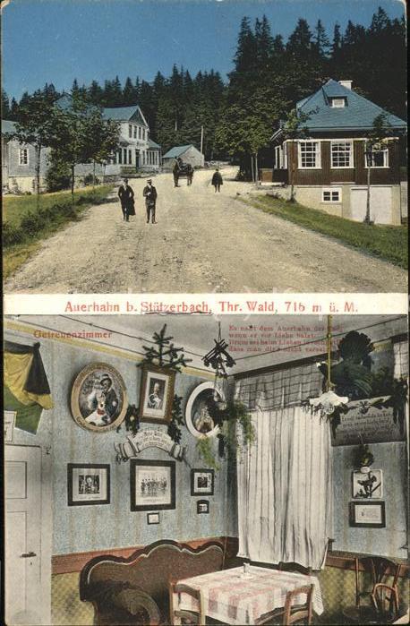 Stuetzerbach Auerhahn Thr. Wald