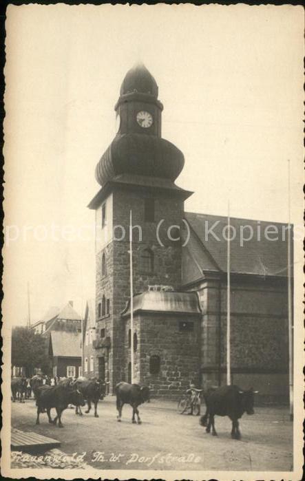 Frauenwald Thueringen Dorfstrasse Stiere Kühe