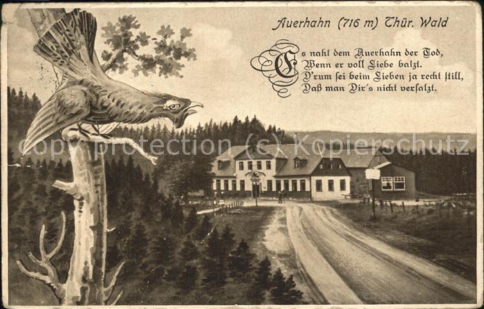 Stuetzerbach Auerhahn (716 m) Thüringer Wald