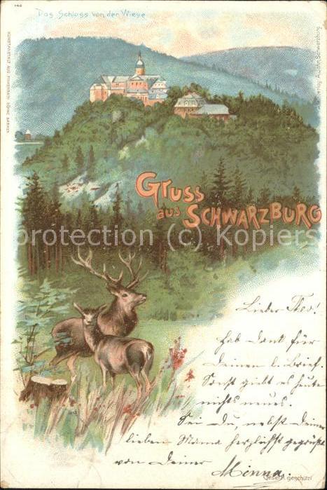 Schwarzburg Thueringer Wald Hirsche