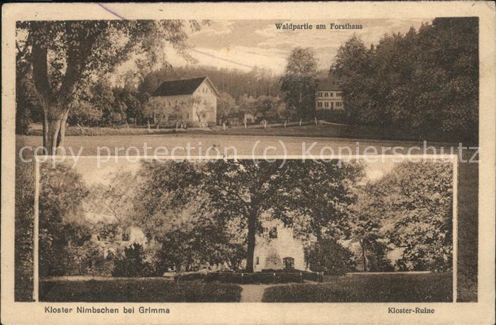 Grimma Kloster Nimbschen Ruine Forsthaus