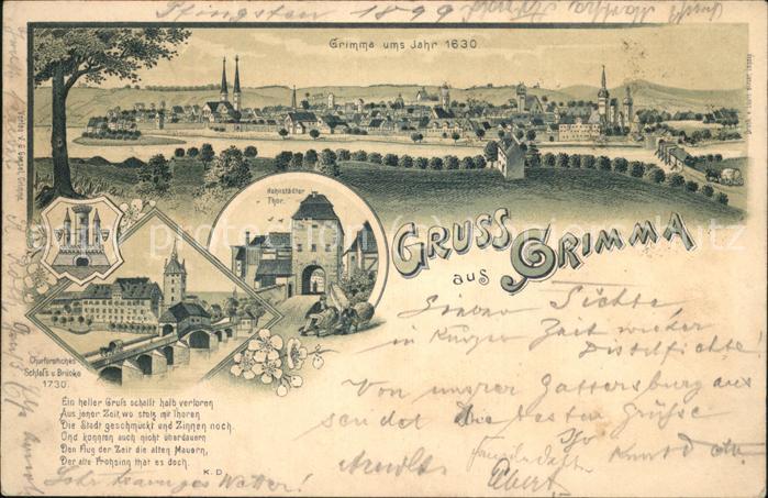 Grimma Panorama Hohnstätter Thor Schloss und B