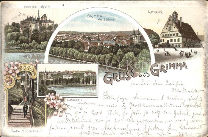 Grimma Schloss Döben Panorama Rathaus Stadtwal