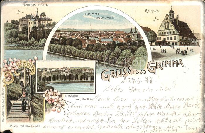 Grimma Schloss Döben Panorama Rathaus Stadtwal