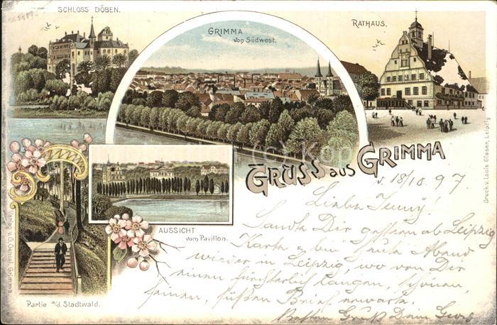 Grimma Schloss Döben Panorama Rathaus Stadtwal