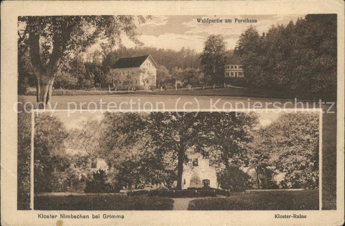 Grimma Kloster Nimbschen Ruine Forsthaus