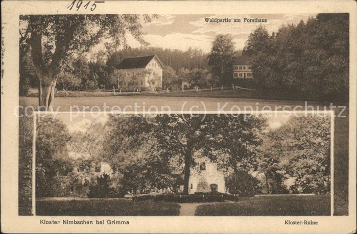Grimma Kloster Nimbschen Ruine Forsthaus