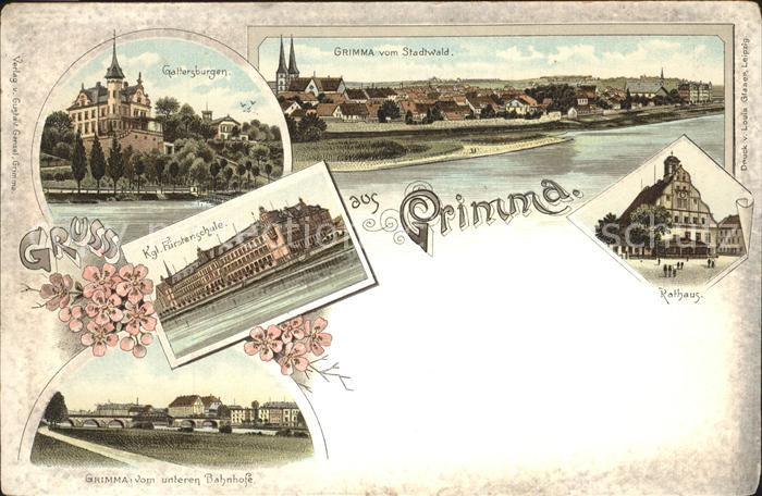 Grimma Gattersburgen Panorama Kgl Fürstenschul