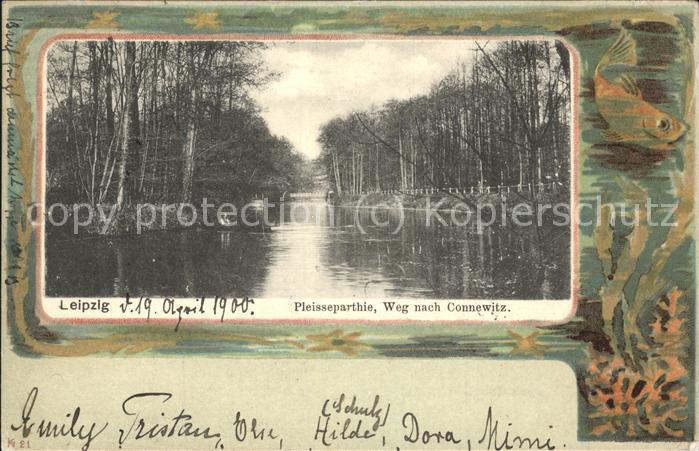 Leipzig Pleissepartie Weg nach Connewitz