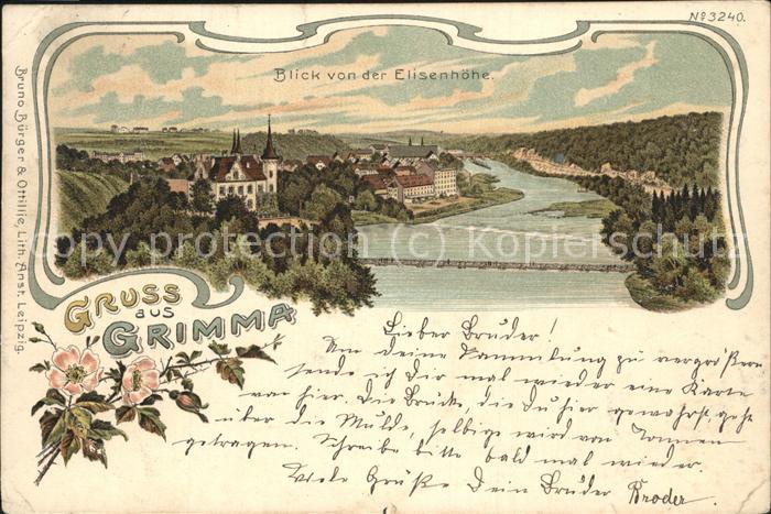 Grimma Blick von der Eisenhöhe