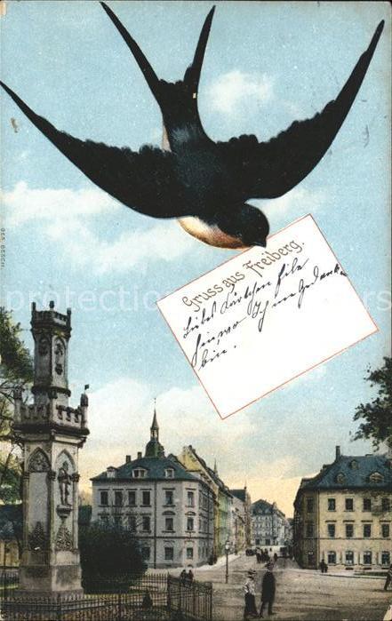 Freiberg Platz Schwalbe