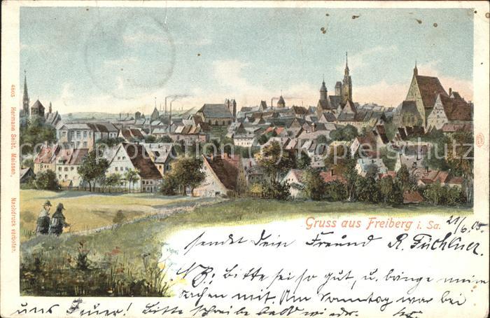 Freiberg Panorama