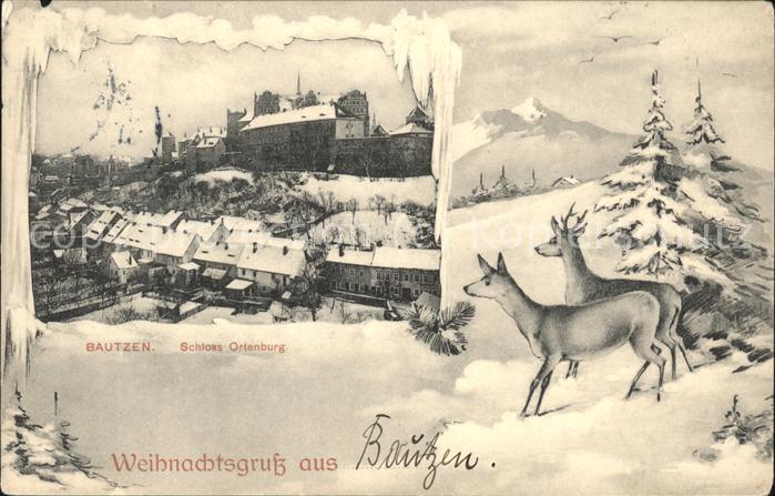 Bautzen Schloss Ortenburg im Schnee Wild