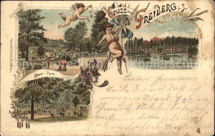 Freiberg Albert-Park Kreuzteich Schwanenschlössc