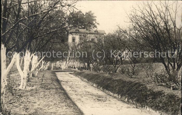 Spandau Haus im Waldgebiet