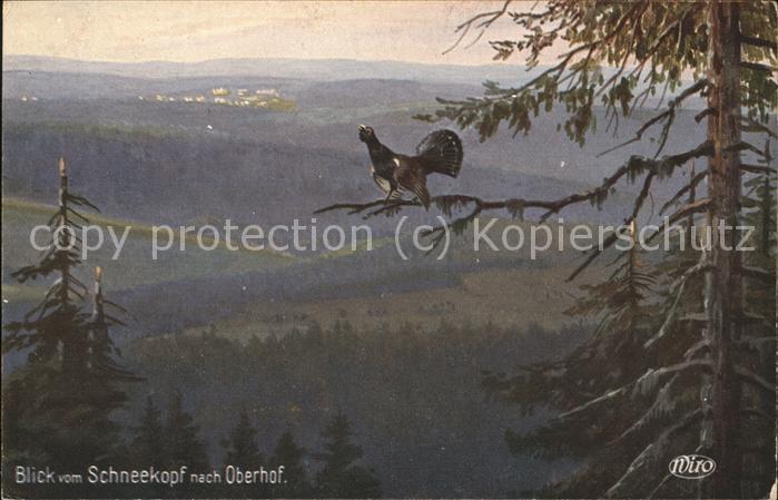 Oberhof Thueringen Blick vom Schneekopf mit Auerhahn