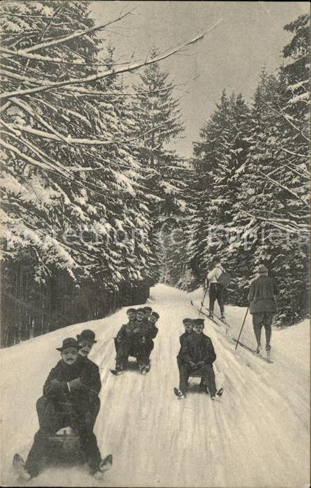 Oberhof Thueringen Schlittenfahrt im Waldgebiet