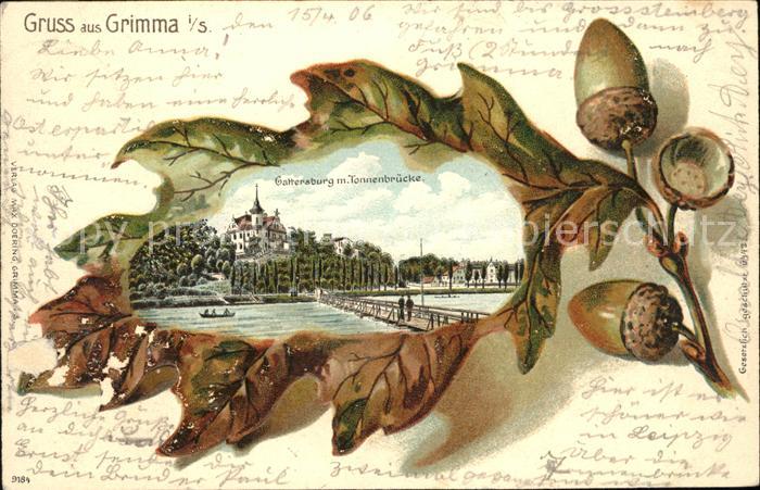 Eichenblatt-Litho Grimma Gattersburg Tonnenbrücke