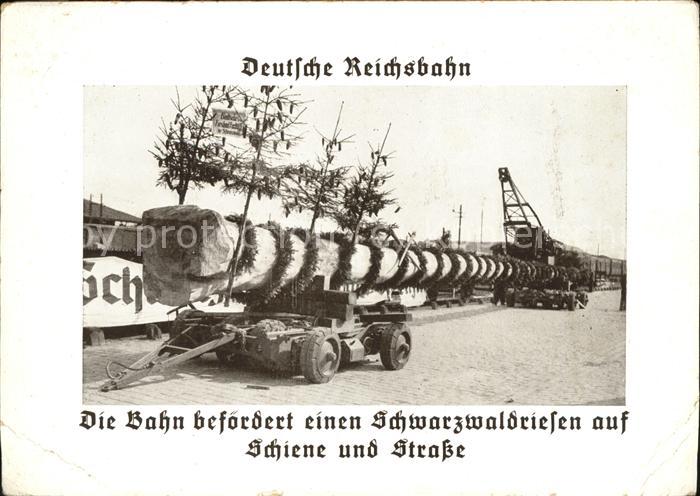 Eisenbahn Deutsche Reichsbahn Baumstamm