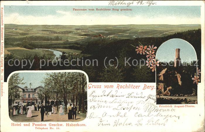 Rochlitz Sachsen Rochlitzer Berg mit Hotel-u.Pension von