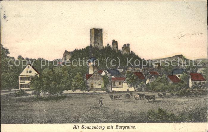Sonnenberg Wiesbaden Alt Sonnenberg mit Burgruine