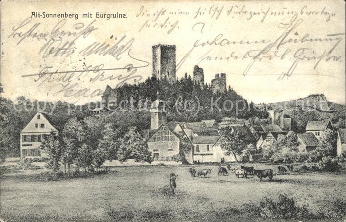 Sonnenberg Wiesbaden mit Burgruine