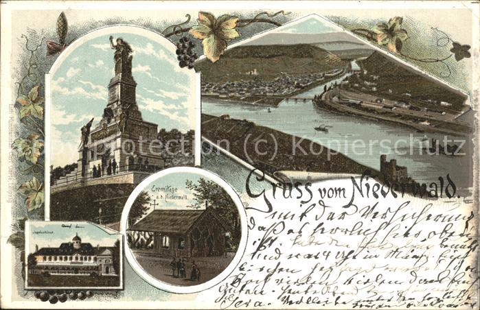 Ruedesheim Rhein Nationaldenkmal a.d.Niederwald mit Blic