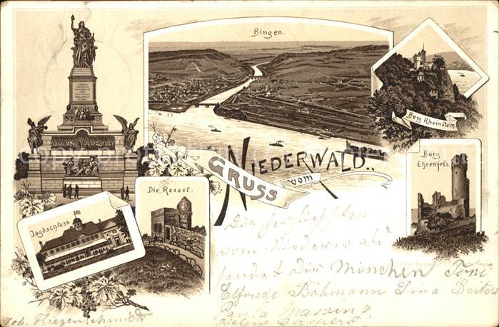 Ruedesheim Rhein Nationaldenkmal a.d.Niederwald mit Blic