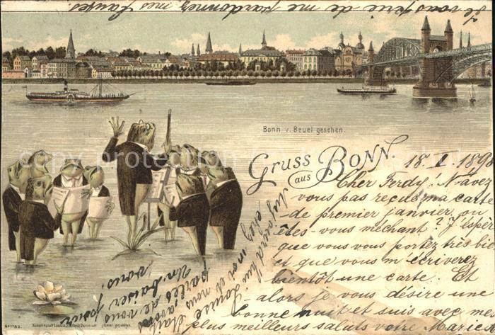 Bonn Rhein Blick von Beuel aus gesehen (mit Frosch