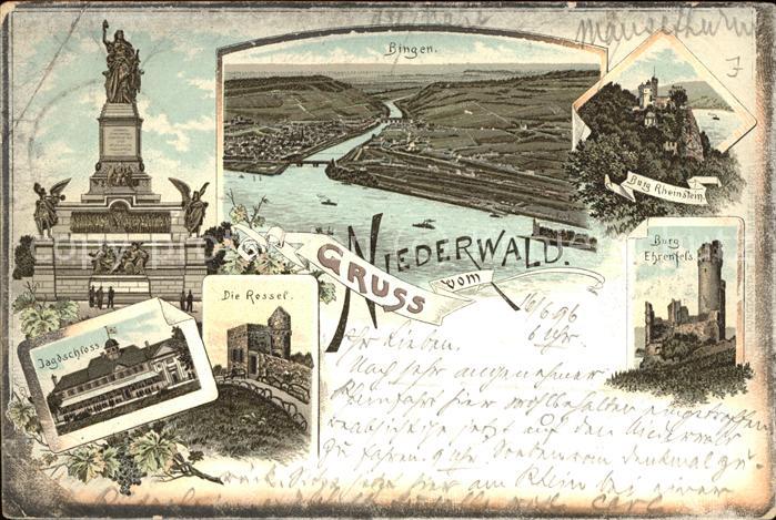 Ruedesheim Rhein Nationaldenkmal a.d.Niederwald mit Blic