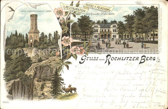 Rochlitz Sachsen König-Friedr.August Thurm u.Hotel & Pen