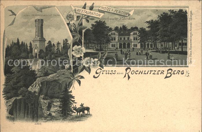 Rochlitz Sachsen Restauration Hotel & Pension auf dem Ro