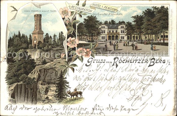 Rochlitz Sachsen Restauration Hotel & Pension auf dem Ro