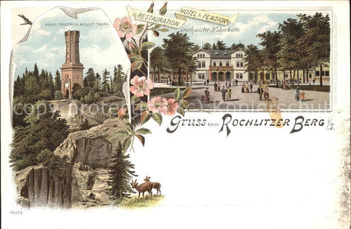Rochlitz Sachsen Restauration Hotel & Pension auf dem Ro