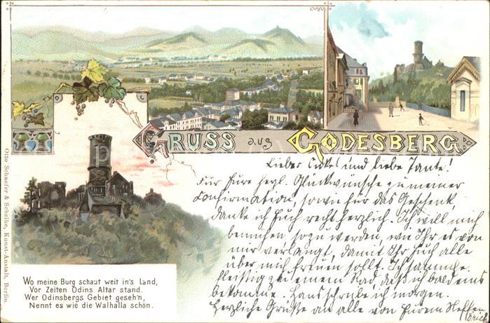 Bad Godesberg mit Burgruine