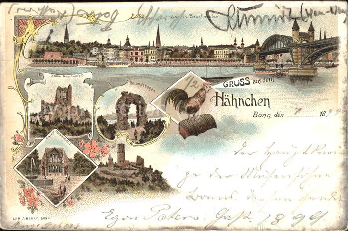 Bonn Rhein Ruine Drachenfels u.Ruine Heisterbach