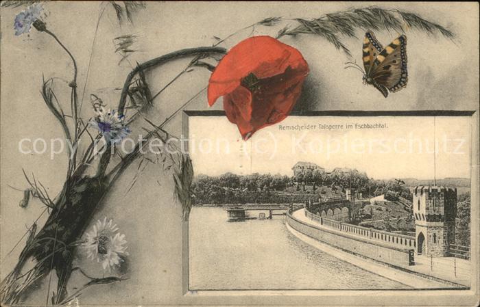 Remscheid Remscheider Talsperre im Eschbachtal