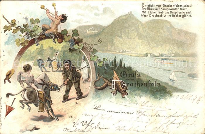 Koenigswinter Rheinpanorama Drachenfels Eselreiten