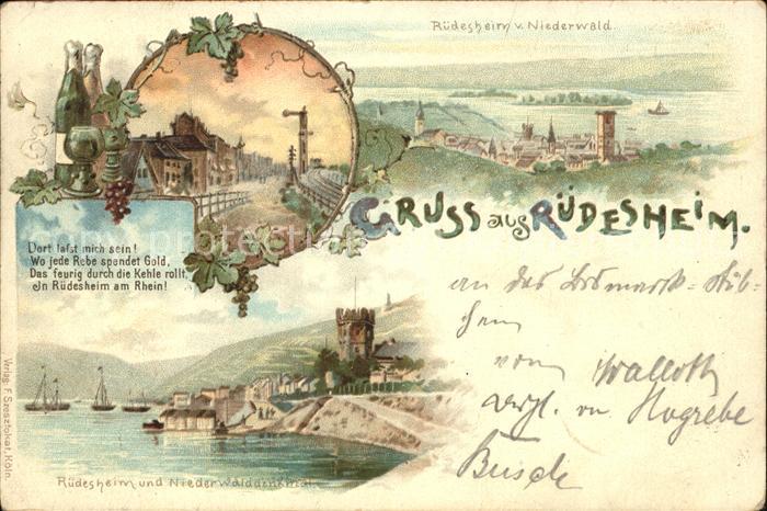 Ruedesheim Rhein Niederwalddenkmal Panorama