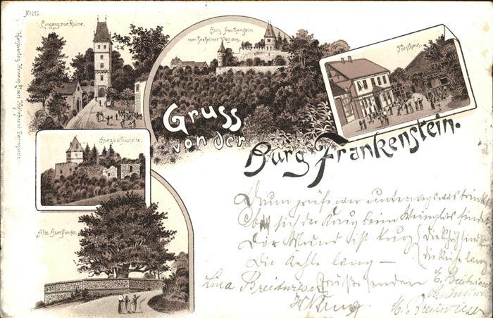 Muehltal Hessen Burg Frankenstein Eingang Südseite Alte