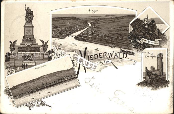 Ruedesheim Rhein Nationaldenkmal Ortsansicht Bingen Jagd