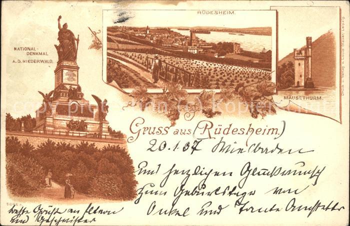 Ruedesheim Rhein Nationaldenkmal Panorama Mäusethurm